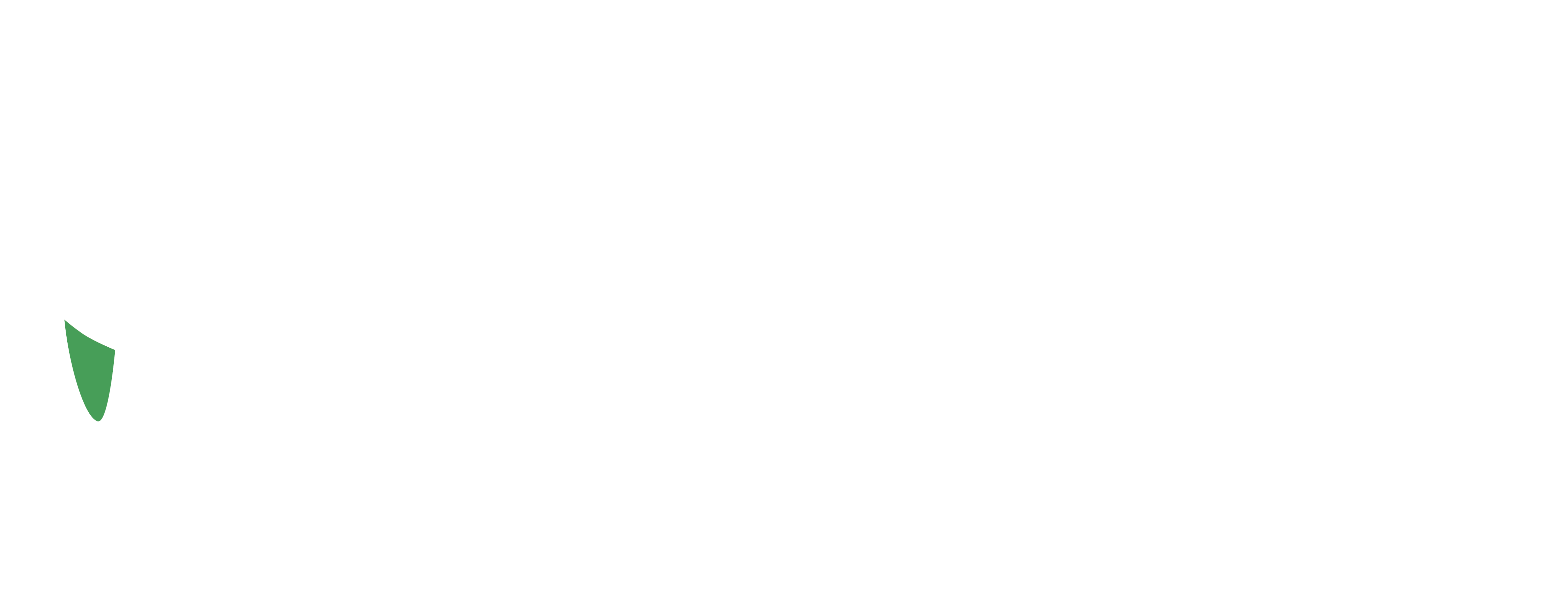Parisloire Logo Blanc